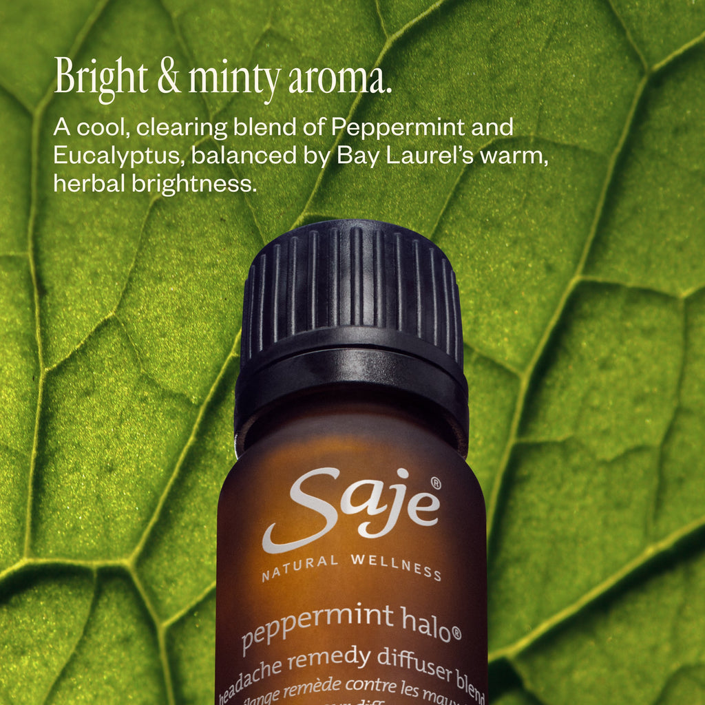 Aroma Halo & Peppermint Halo Diffuser Blend 14