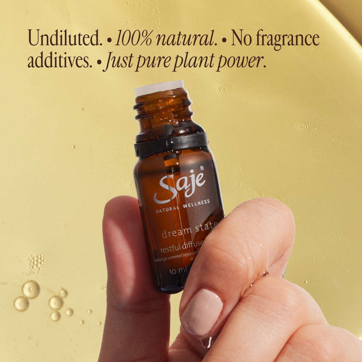 Dream State 75