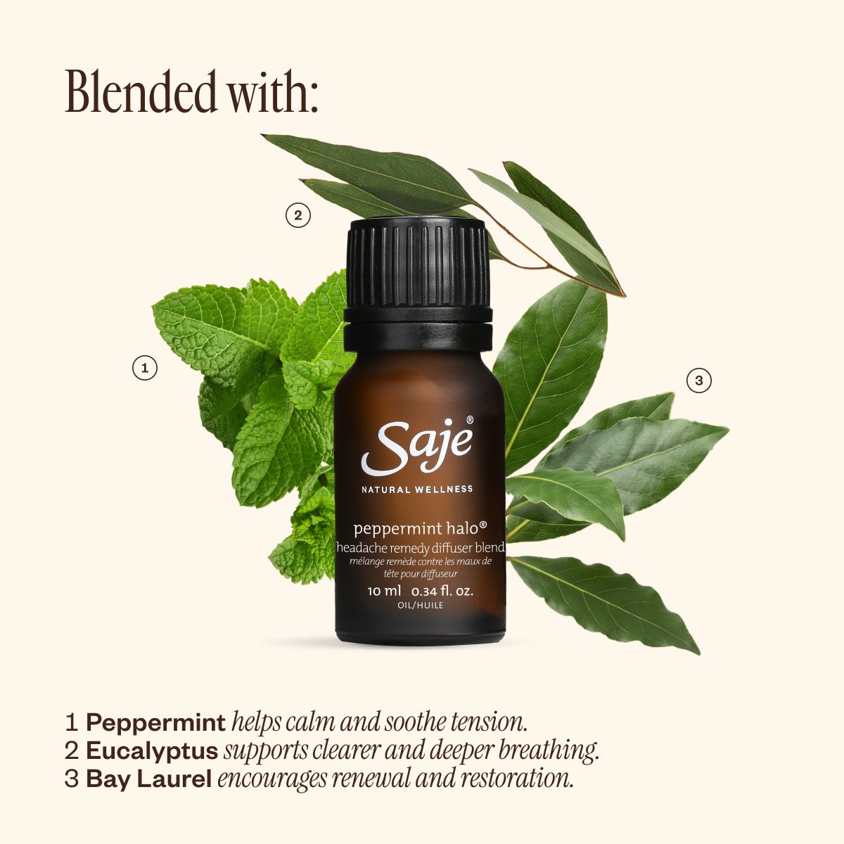 Aroma Halo & Peppermint Halo Diffuser Blend 14