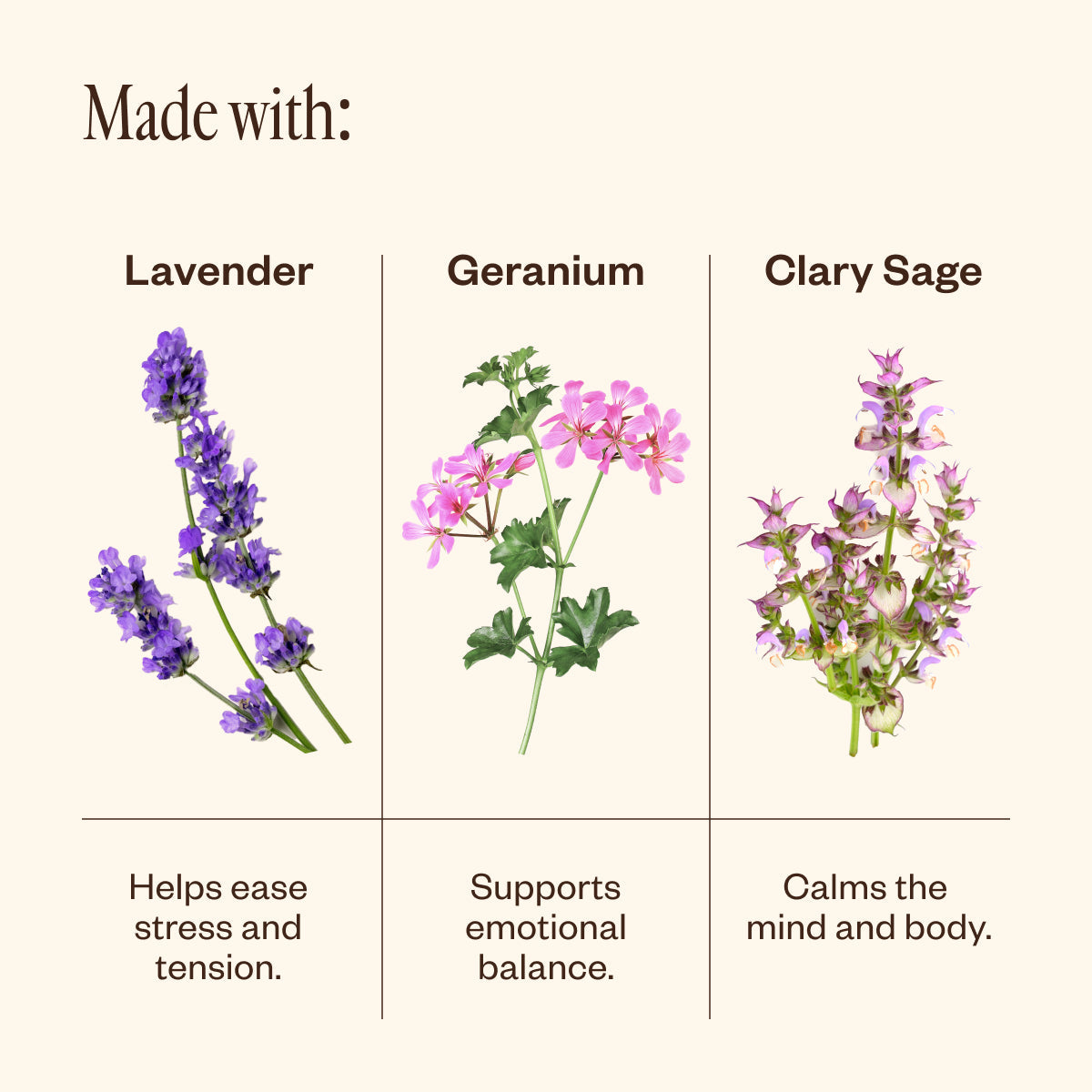 Lavender & Friends Cloud Wash 15