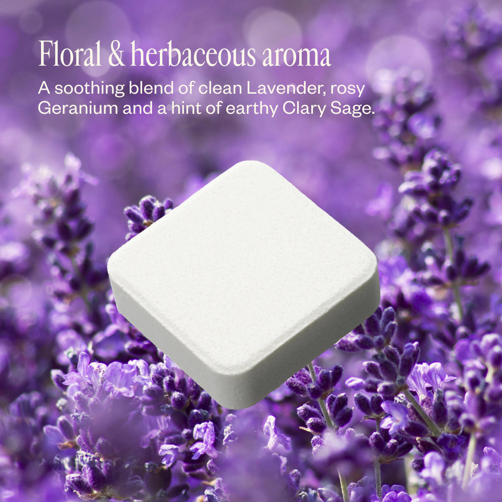 Lavender & Friends 20