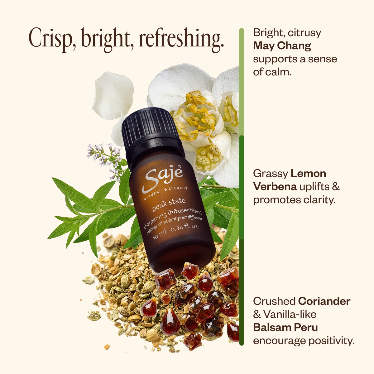 Spring Refresh Diffuser Bundle 73