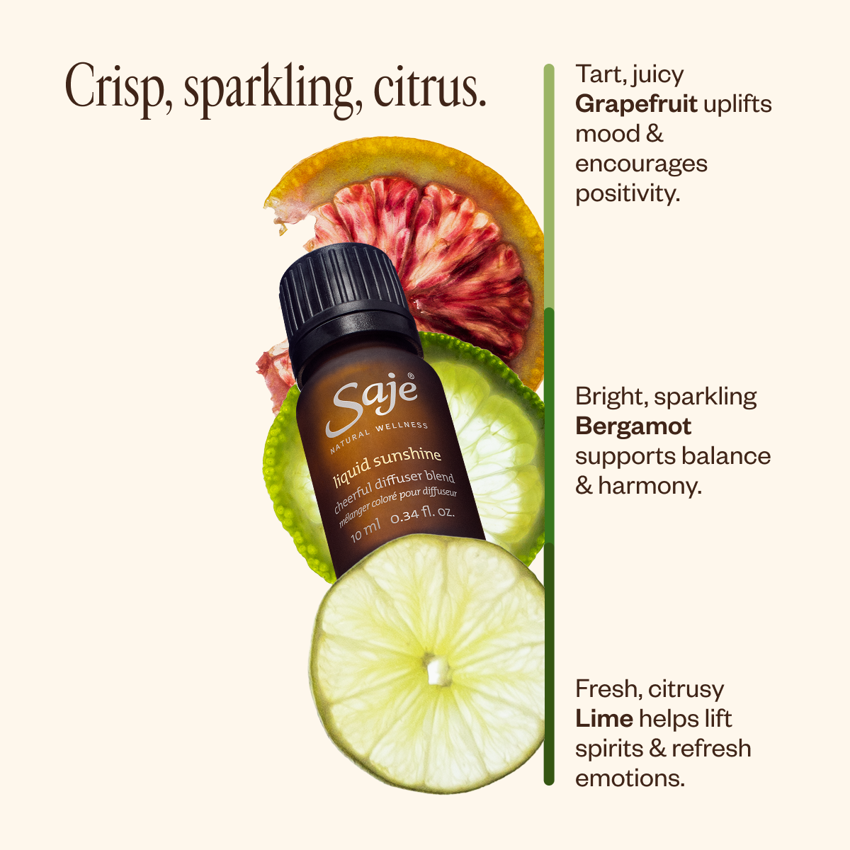 Spring Refresh Diffuser Bundle 73