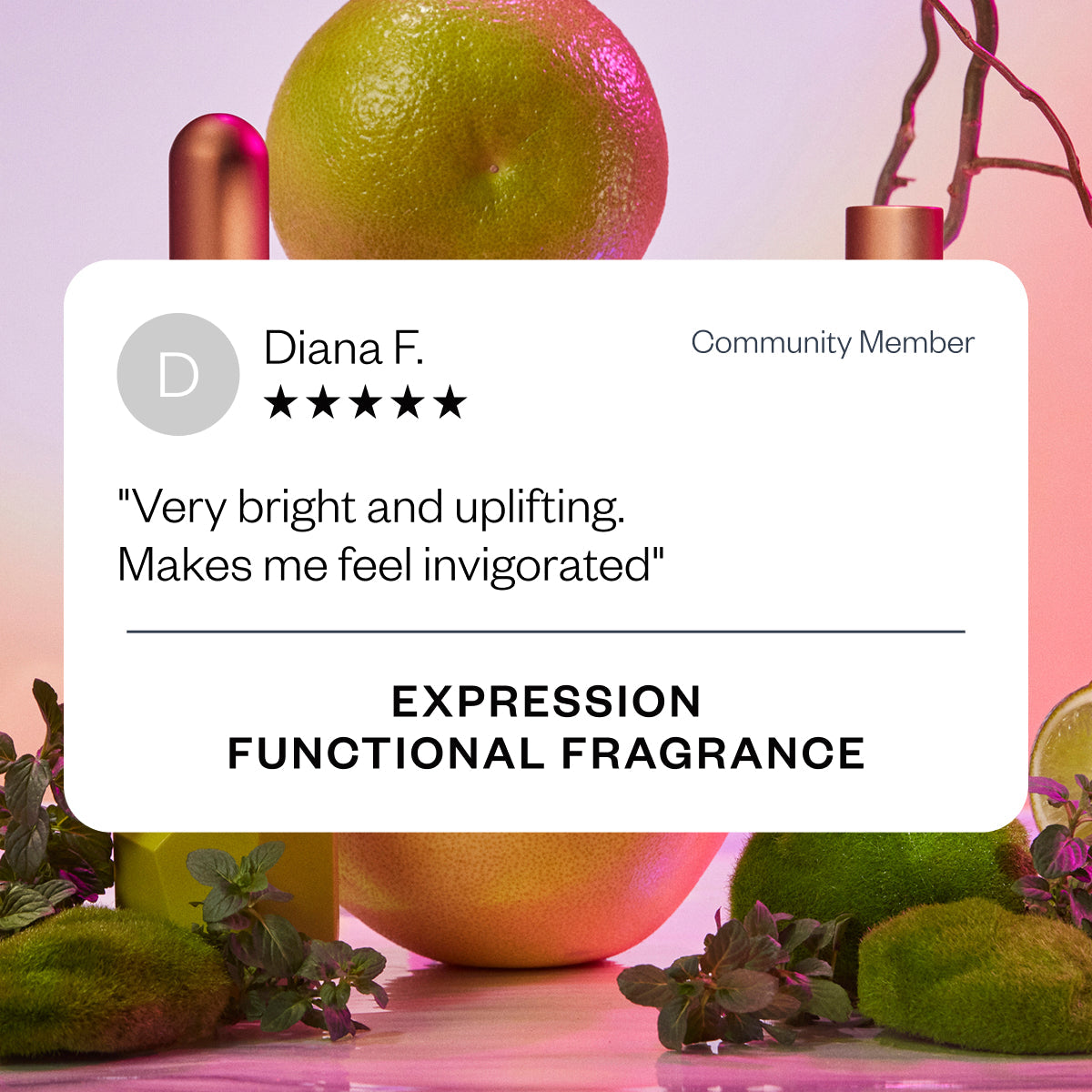 Vibrance Expression 10